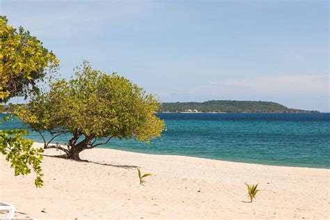 virgin beach resort batangas|Day Packages – Virgin Beach Resort.